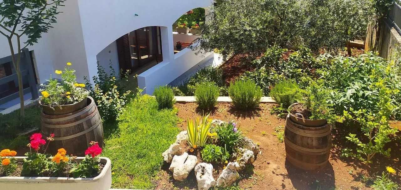 Apartment Apartament Oliva Vrsar